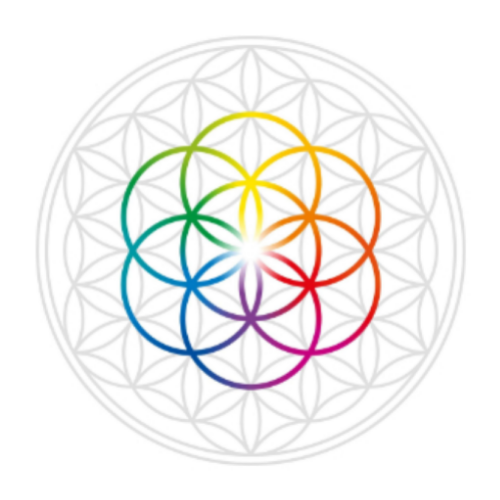 truly divine logo