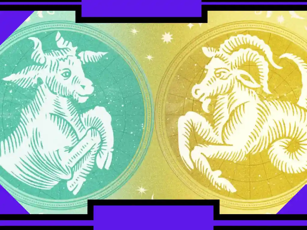 Capricorn and Taurus Compatibility