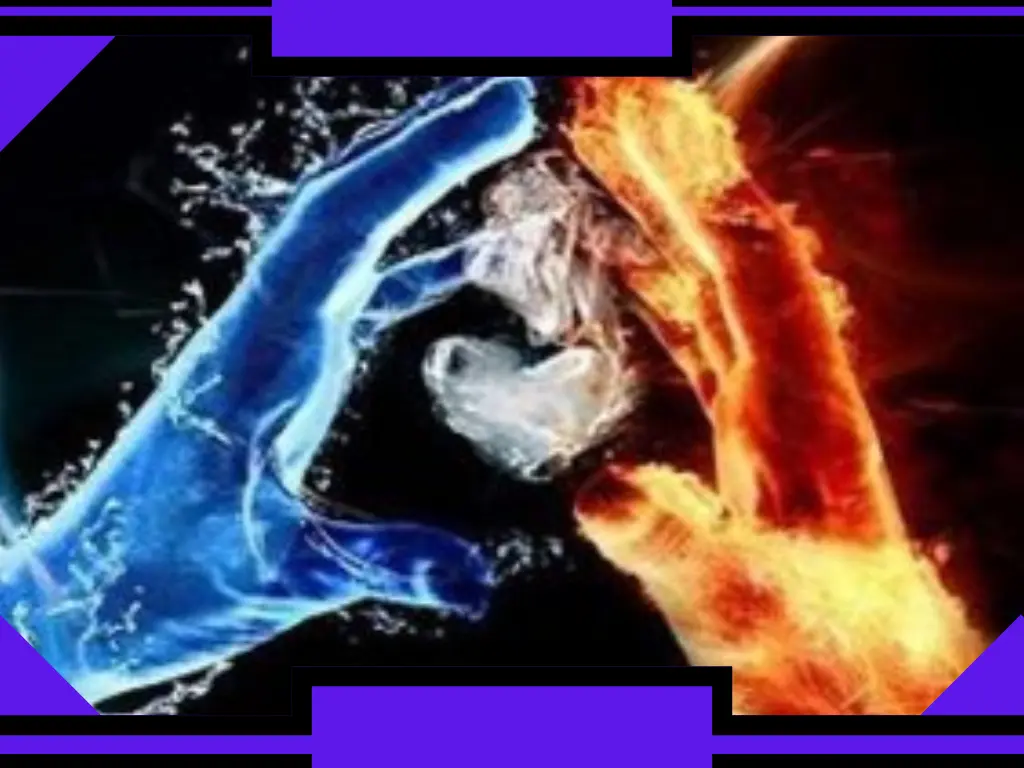 Partner Karmico vs Fiamma Gemella