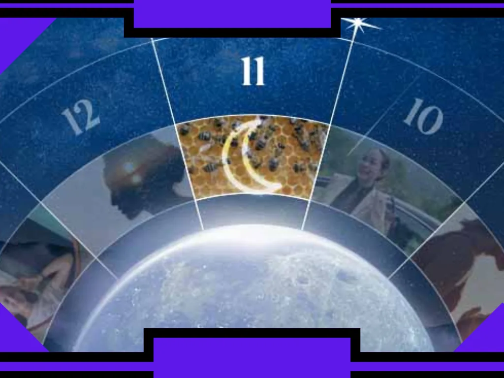11ª Casa na Astrologia