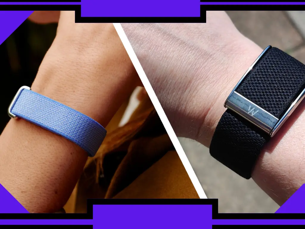Google Fitbit Air